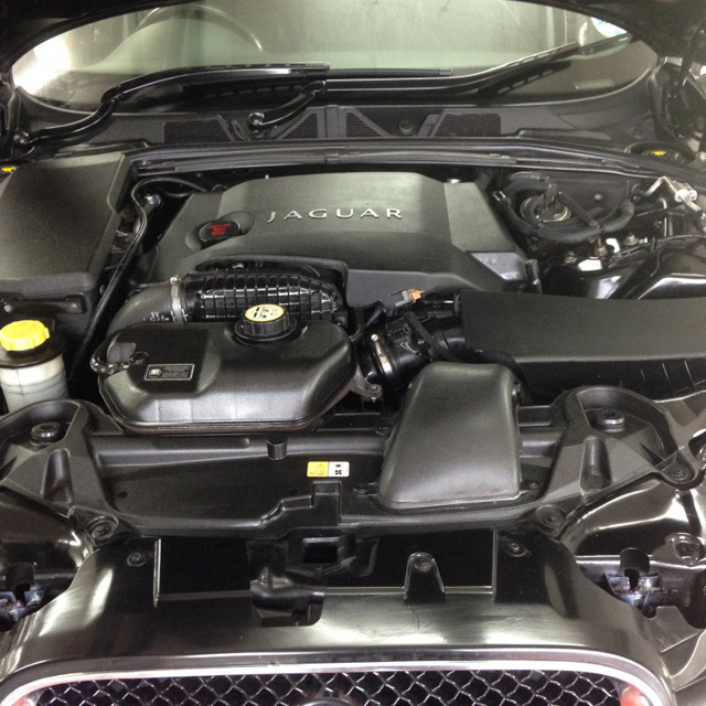 Engine Bay After Detail